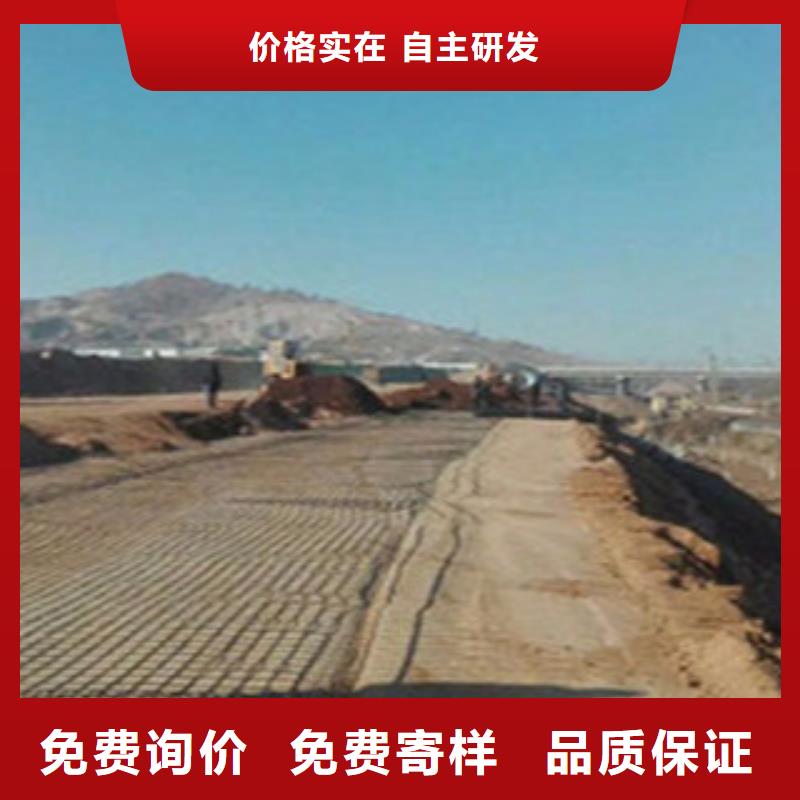 钢塑土工格栅玻纤土工格栅放心购