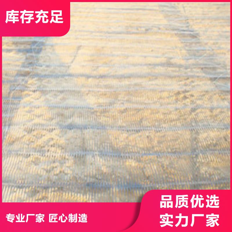 【單向塑料格柵】鋼塑土工格柵一站式供應(yīng)