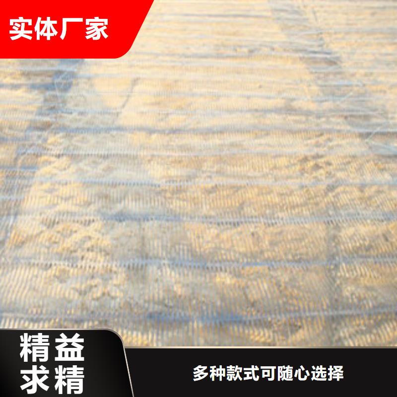 單向塑料格柵-鋼塑土工格柵追求品質(zhì)