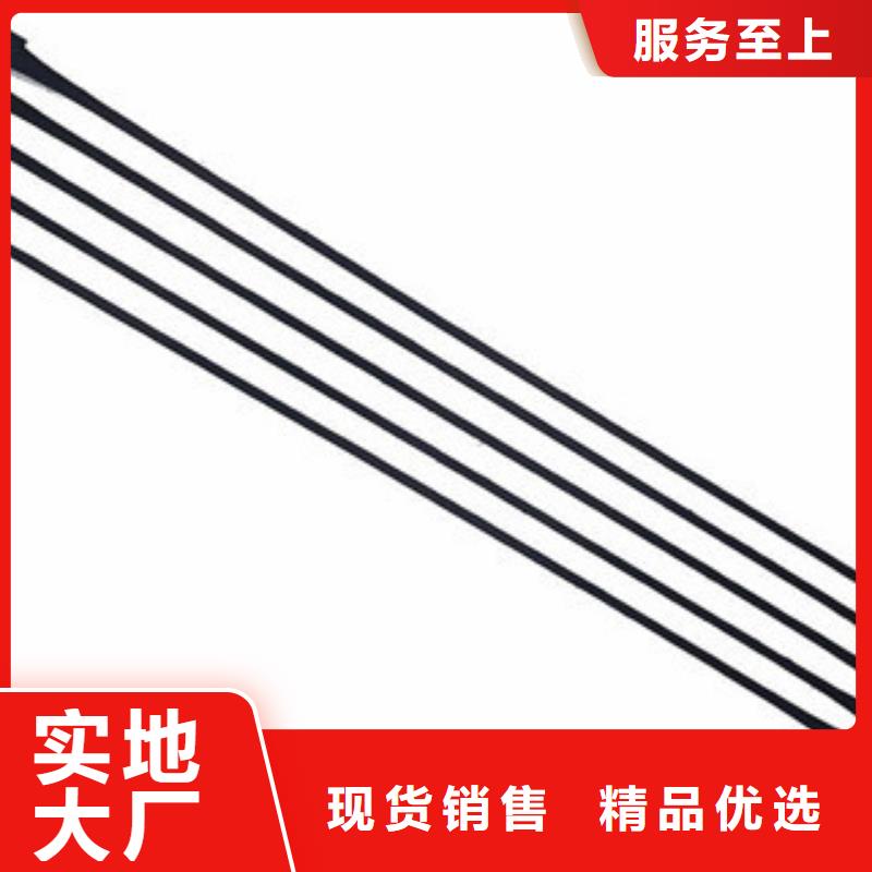 單向塑料格柵鋼塑土工格柵擁有多家成功案例