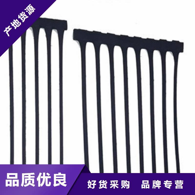 【單向塑料格柵復合土工布為您精心挑選】