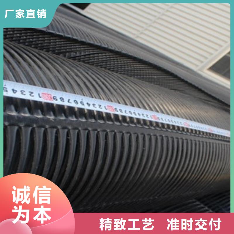 【單向塑料格柵】玻纖土工格柵用心制造