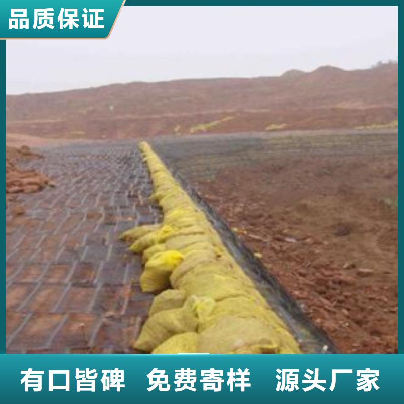 單向塑料格柵【三維植被網】追求品質