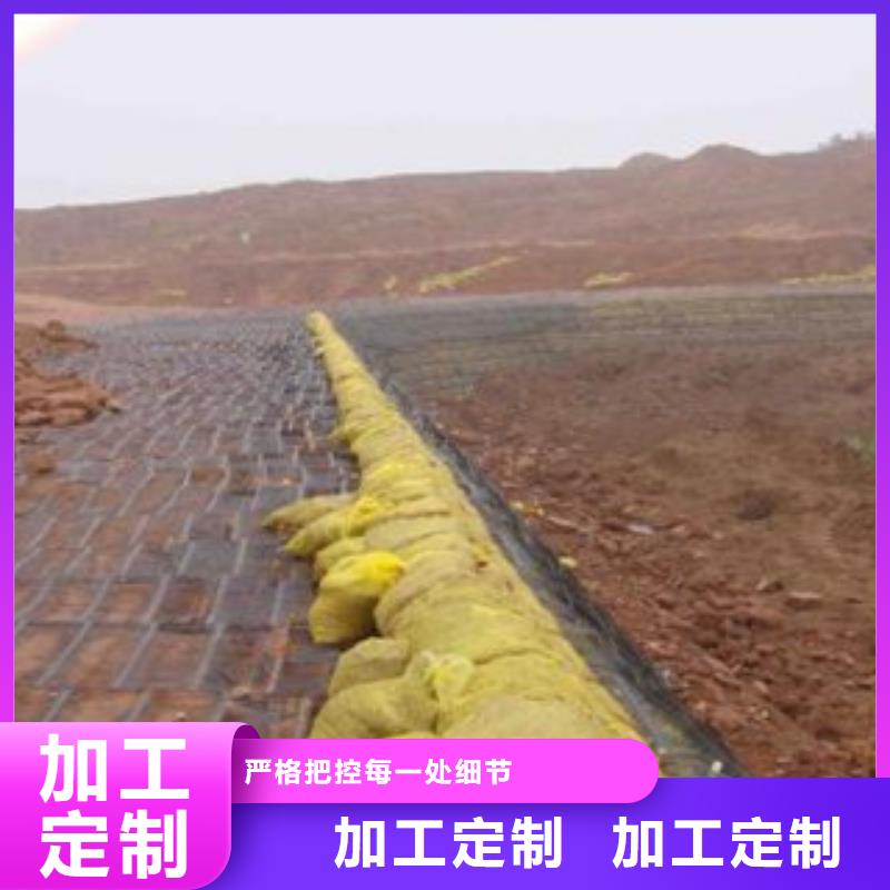單向塑料格柵防裂貼抗裂貼極速發(fā)貨