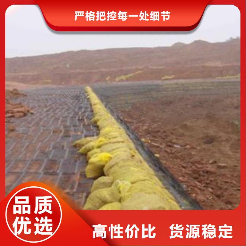 【單向塑料格柵】,復合土工布一手貨源