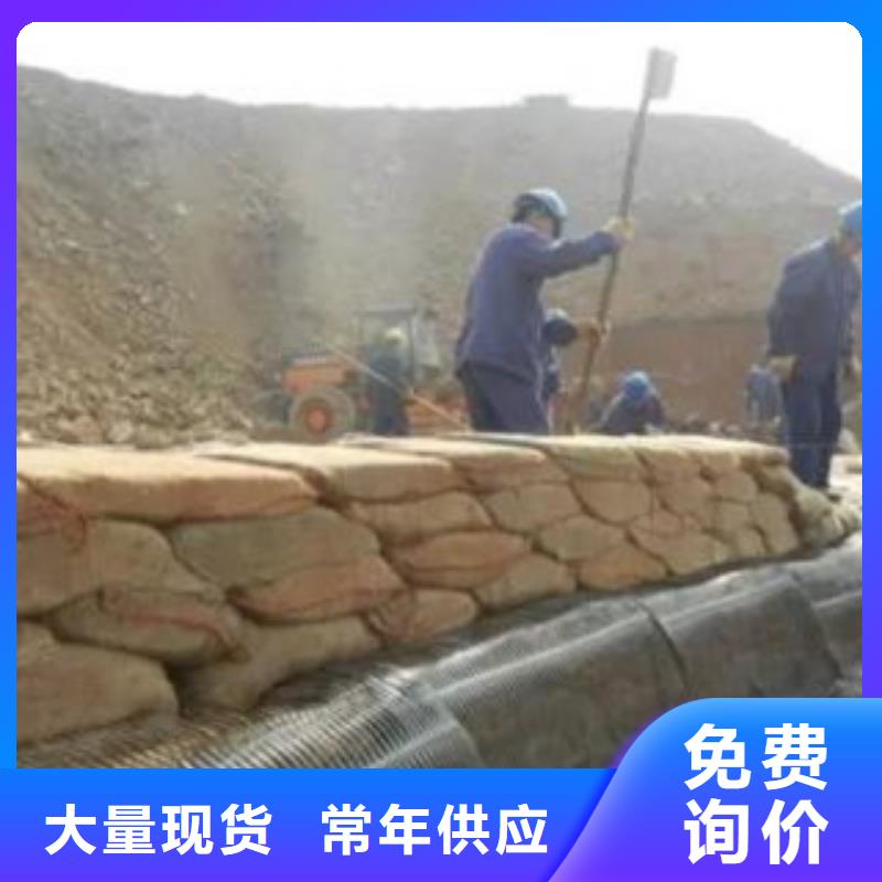 單向塑料格柵,塑料土工格柵信譽有保證