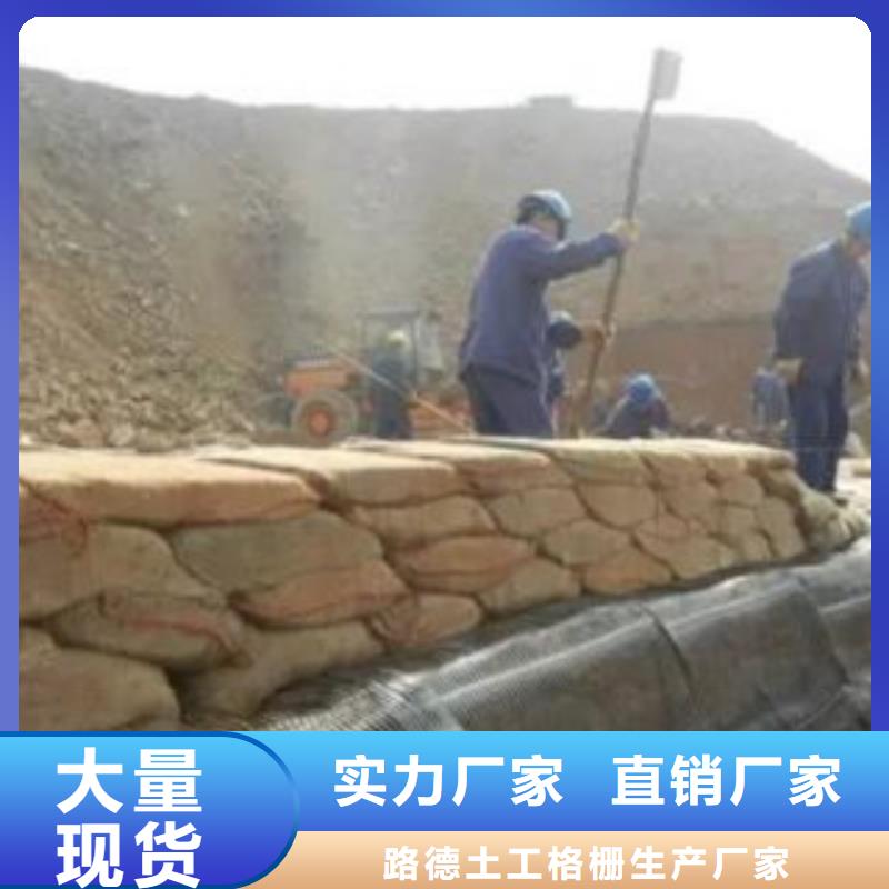【單向塑料格柵塑料土工格柵用心做品質】