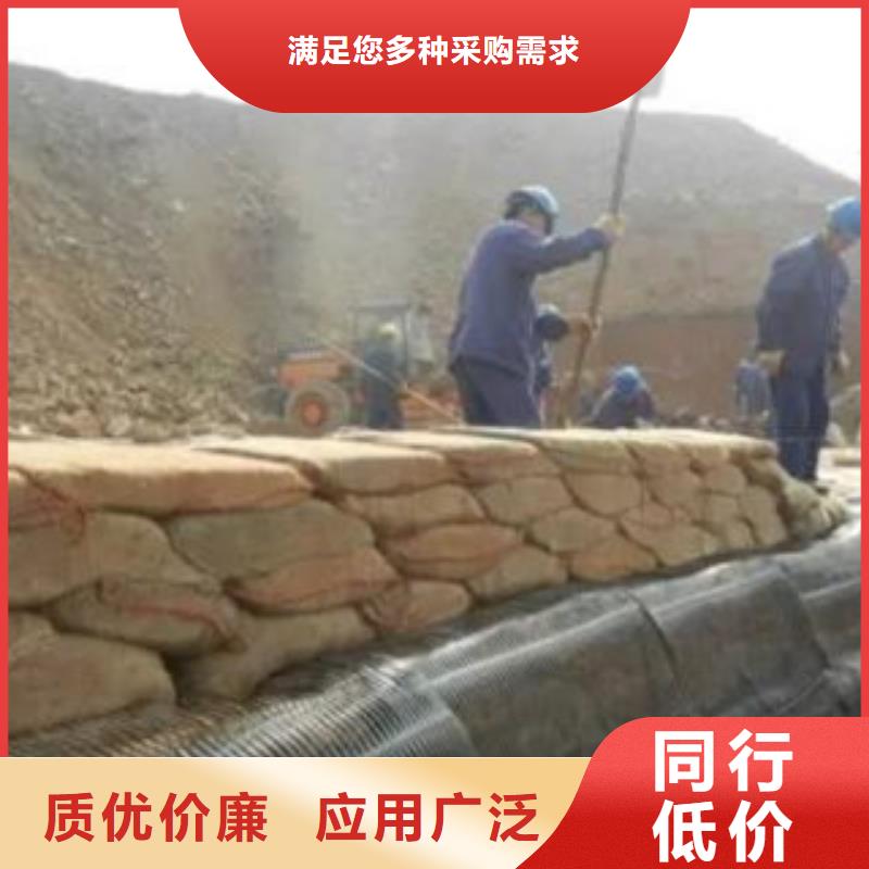 单向塑料格栅【玻纤土工格栅】供货及时