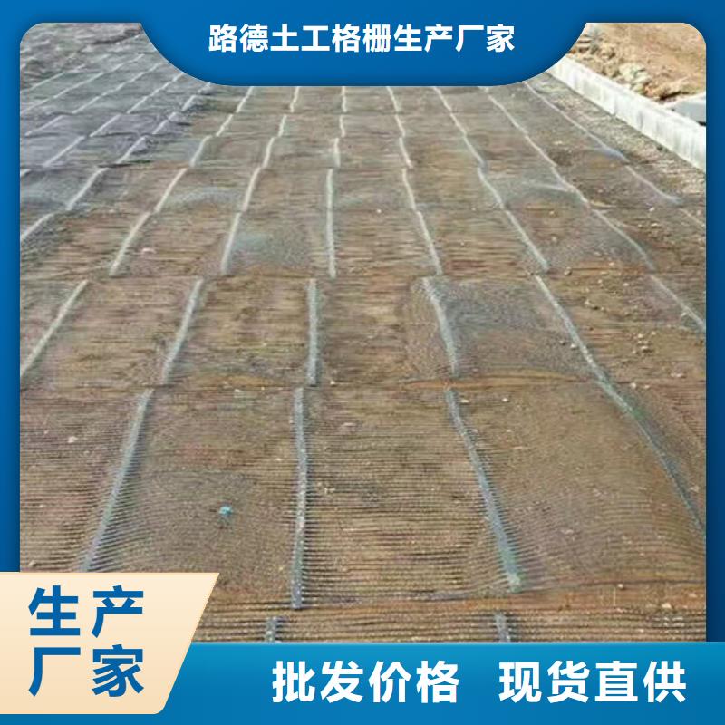 單向塑料格柵塑料土工格柵現(xiàn)貨實拍