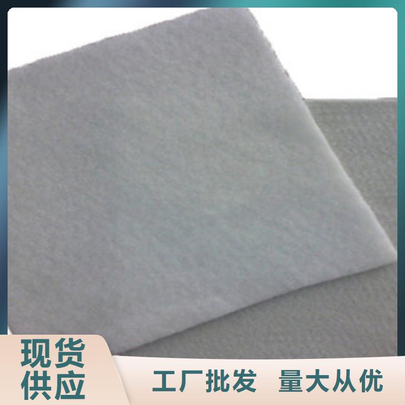 土工布鋼塑土工格柵當地貨源
