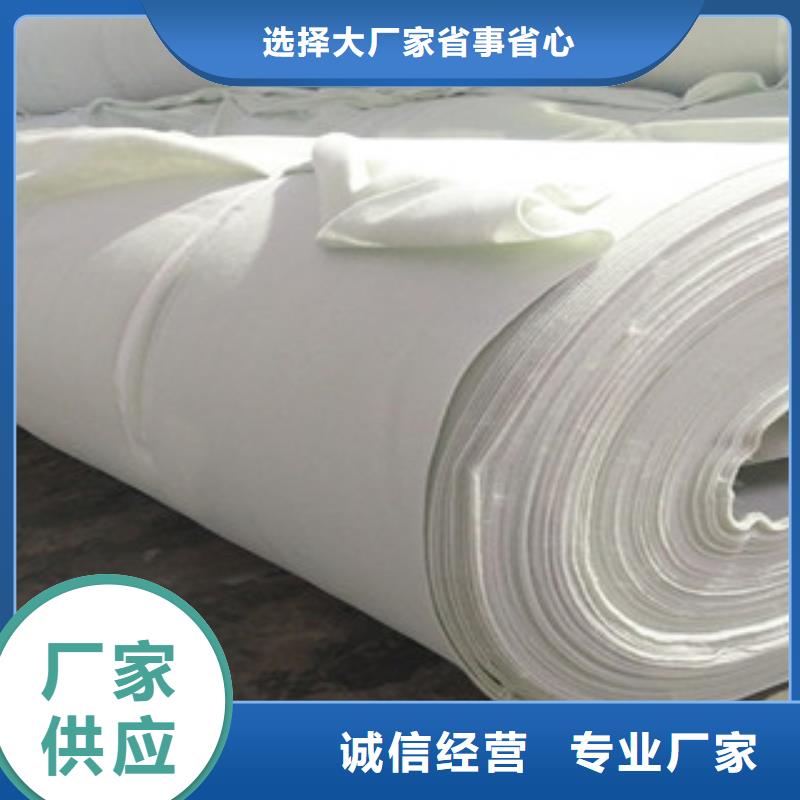 土工布-高强度土工网现货直发