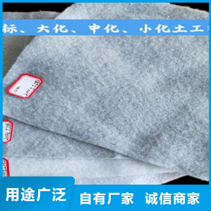 土工布钢塑土工格栅欢迎来电询价