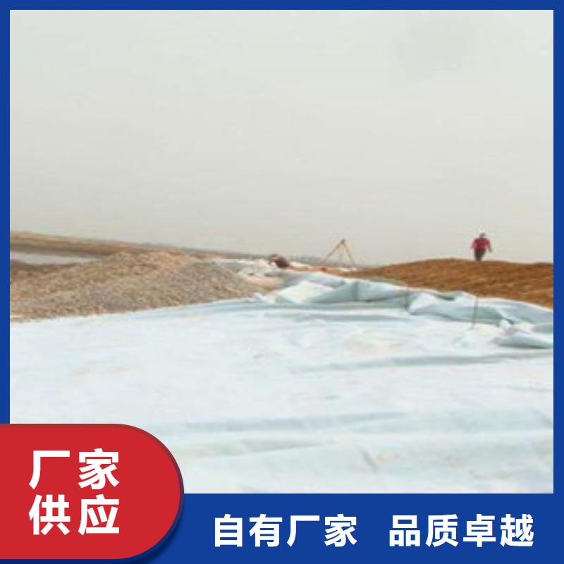 【土工布玻纖土工格柵源頭工廠】