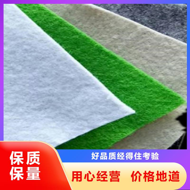 【土工布三維植被網就近發貨】