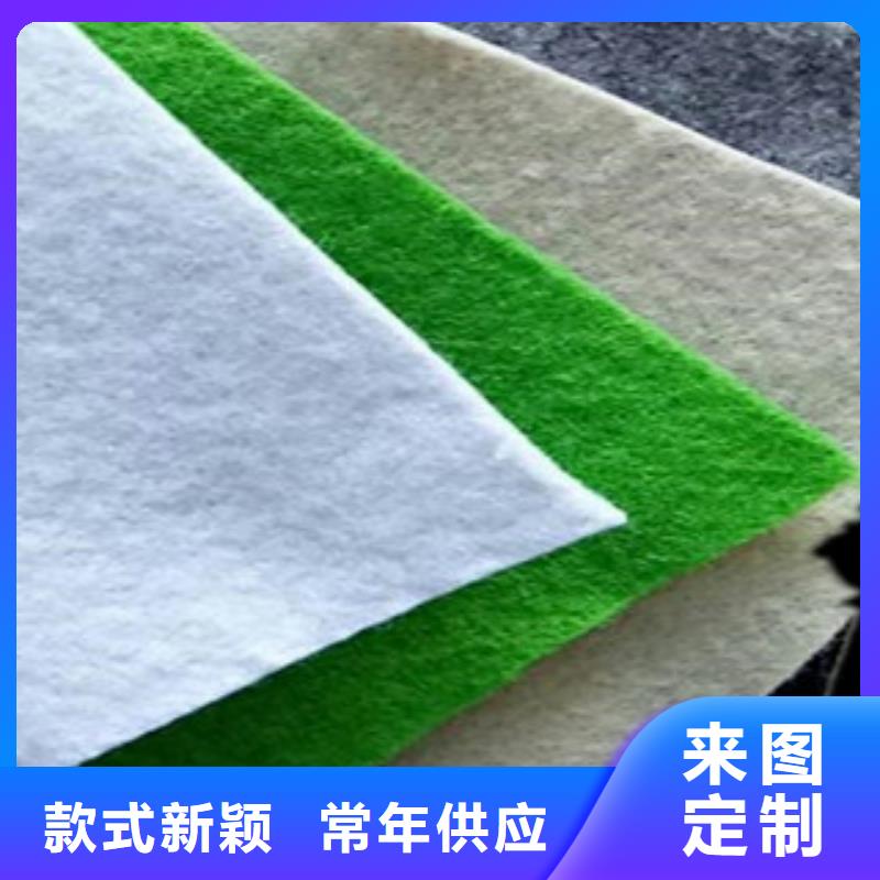 土工布鋼塑土工格柵當地貨源