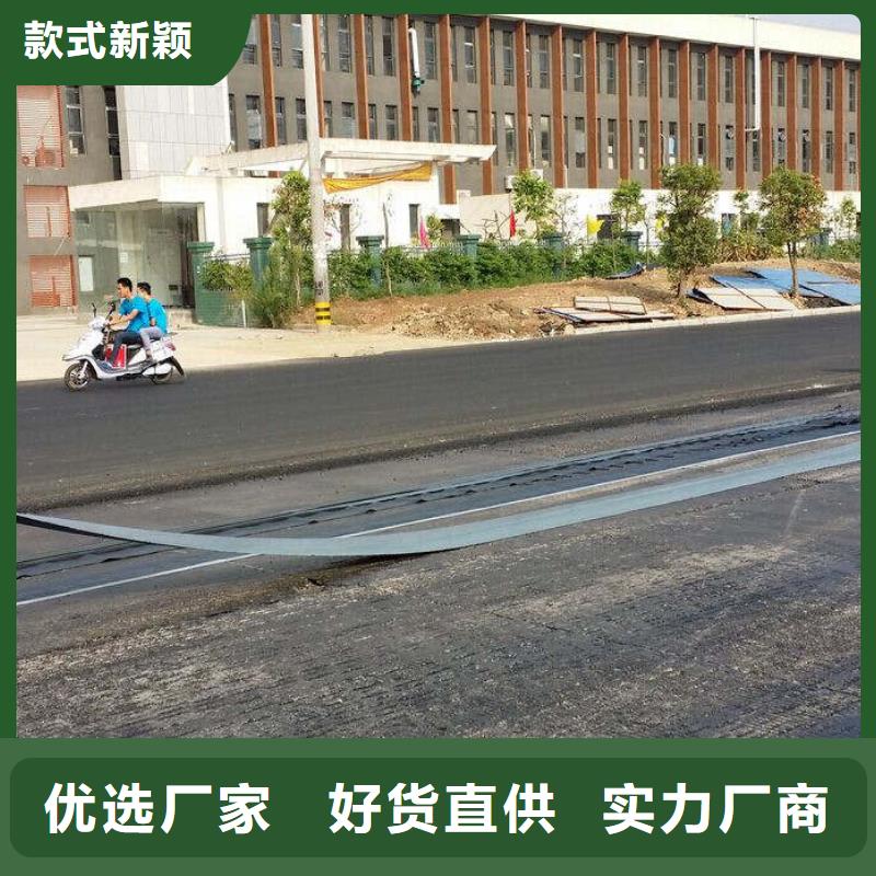 防裂貼三維植被網實地大廠