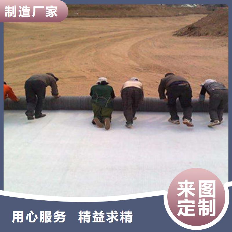 膨润土防水毯质优价廉