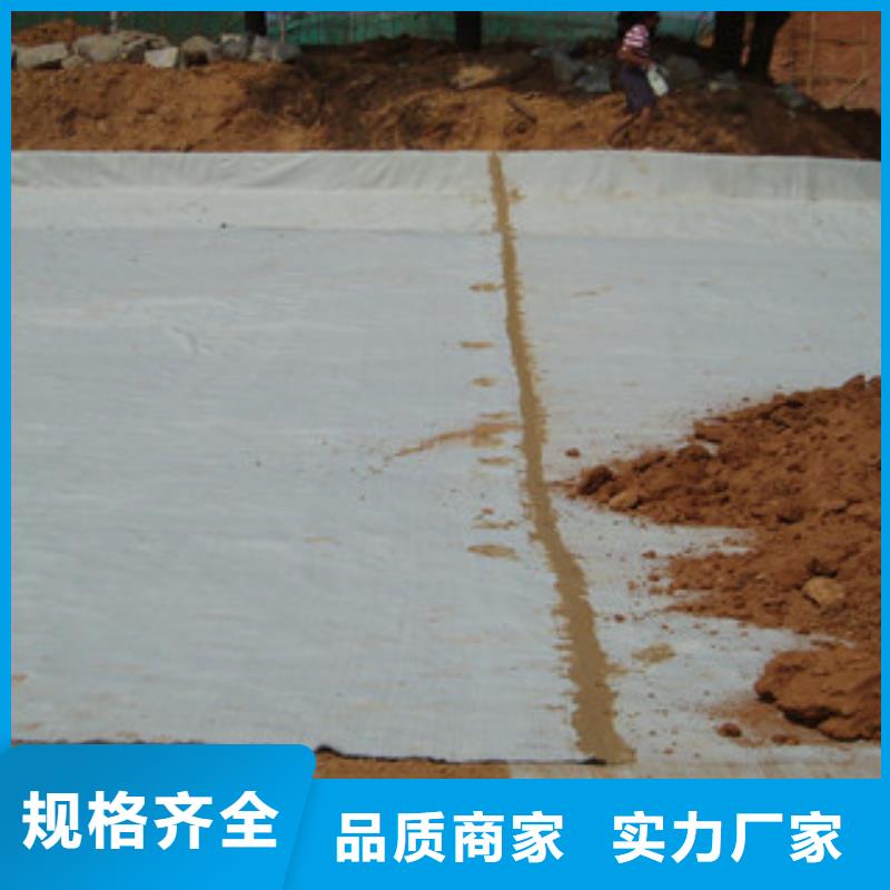 膨潤土防水毯,鋼塑土工格柵一站式采購方便省心