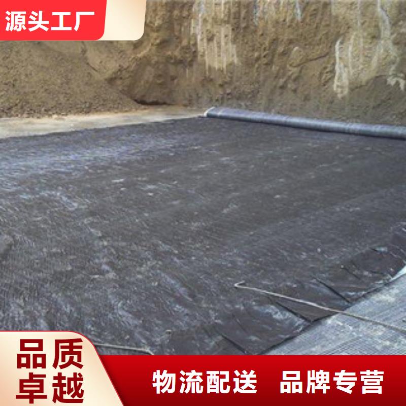 【膨潤(rùn)土防水毯】塑料土工格柵廠家大量現(xiàn)貨