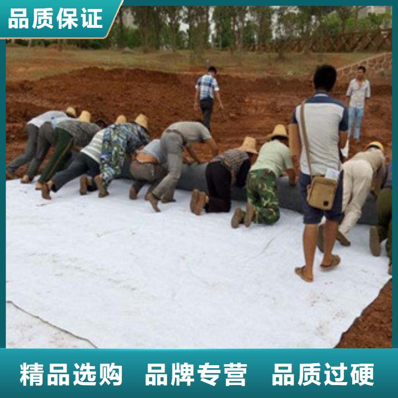 膨潤土防水毯玻纖土工格柵今日新品