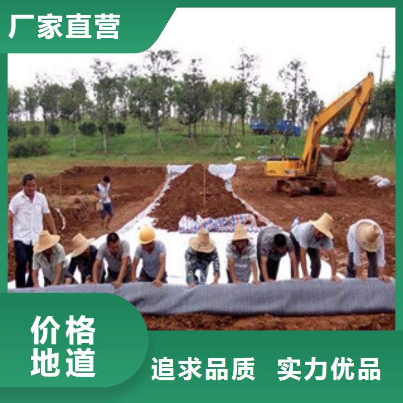 膨潤土防水毯玻纖土工格柵品質可靠