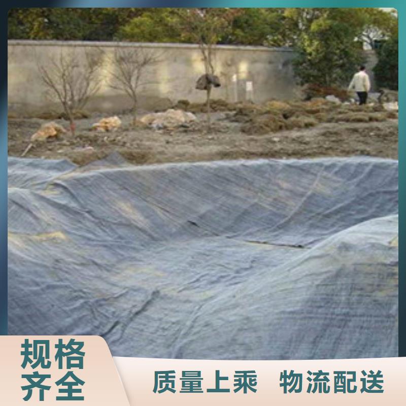 膨潤土防水毯高強度土工網實體廠家