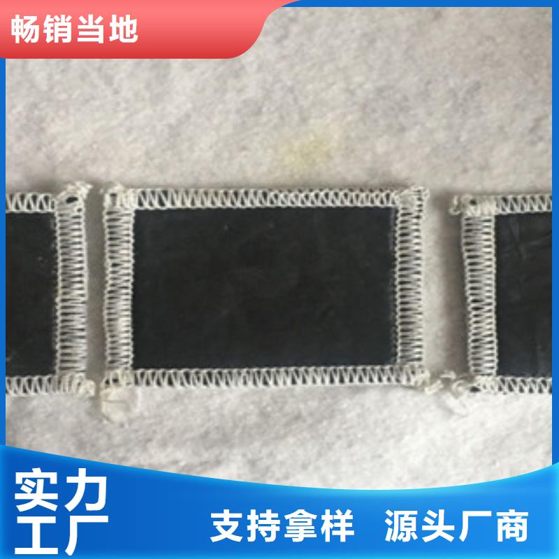 膨潤土防水毯支持非標(biāo)定制