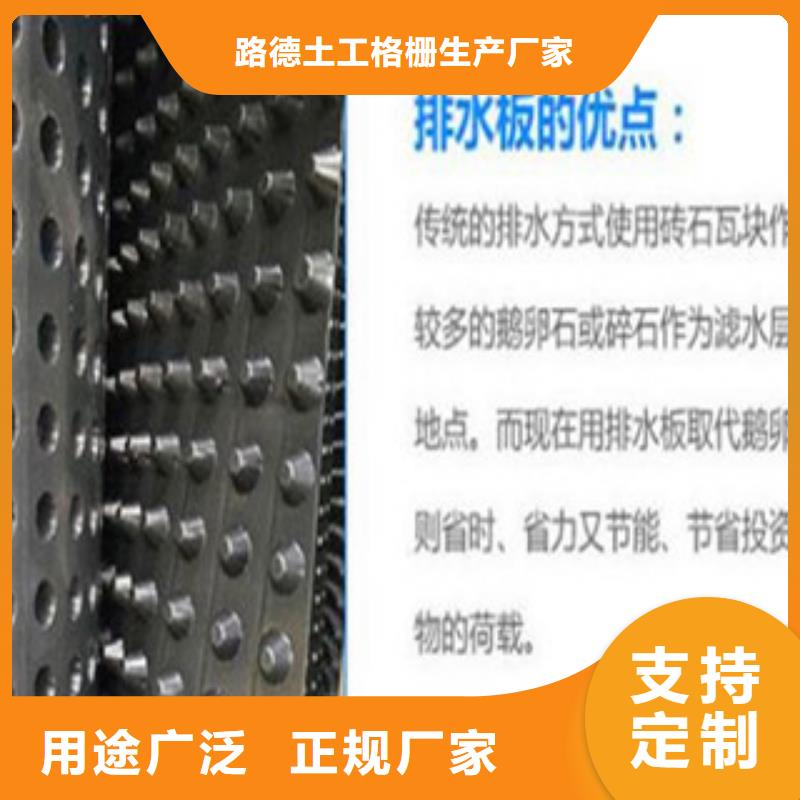 【塑料排水板】三維植被網廠家定制