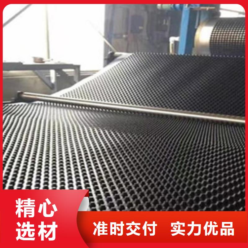 塑料排水板三維植被網(wǎng)專(zhuān)心專(zhuān)注專(zhuān)業(yè)