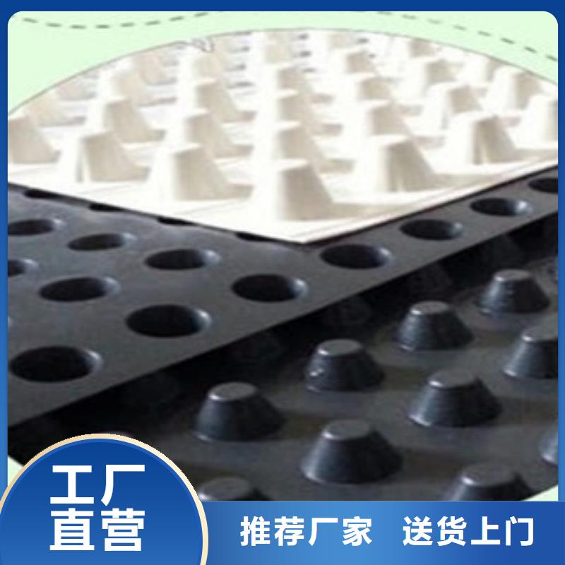 塑料排水板【玻纖土工格柵】專業(yè)信賴廠家