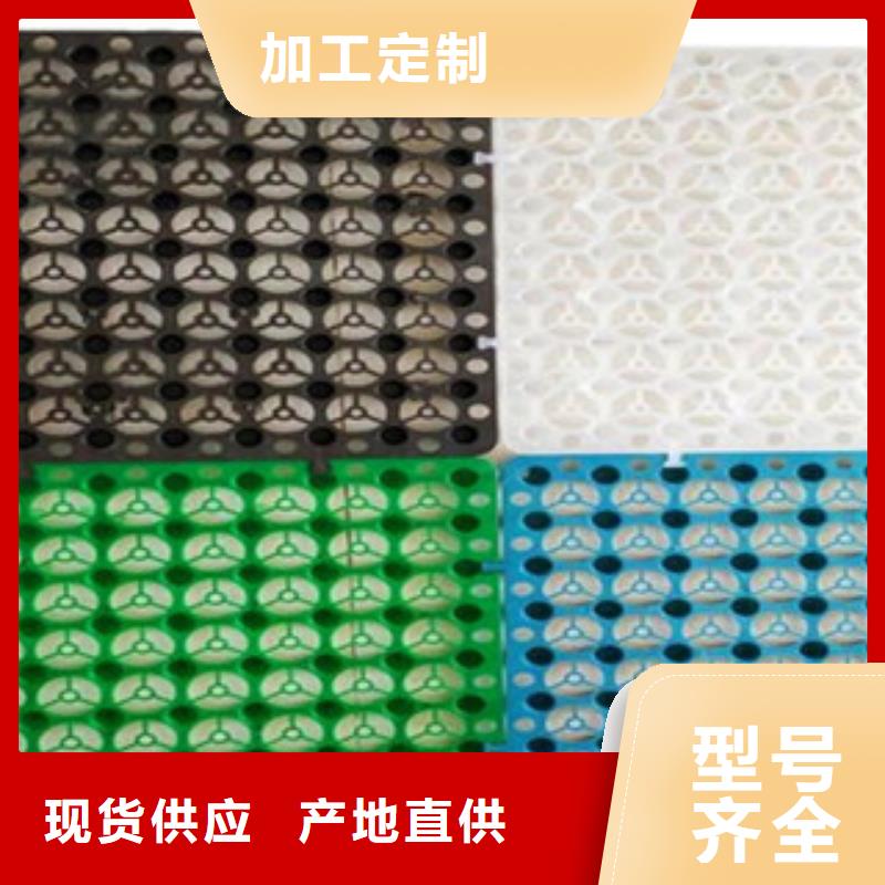 塑料排水板玻纖土工格柵質(zhì)量看得見(jiàn)
