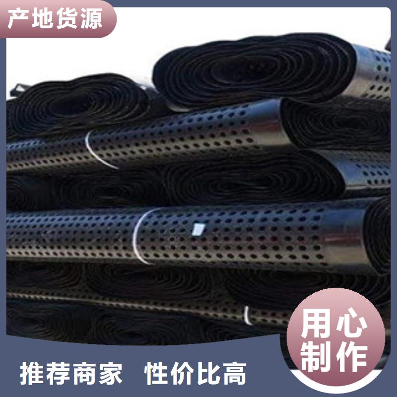 【塑料排水板鋼塑土工格柵生產型】