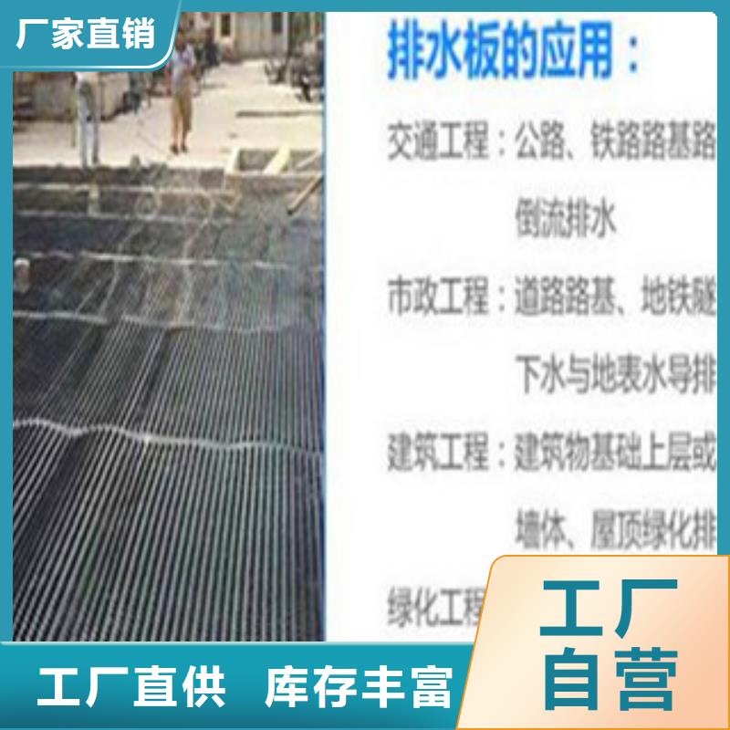 【塑料排水板】三維植被網(wǎng)廠家定制