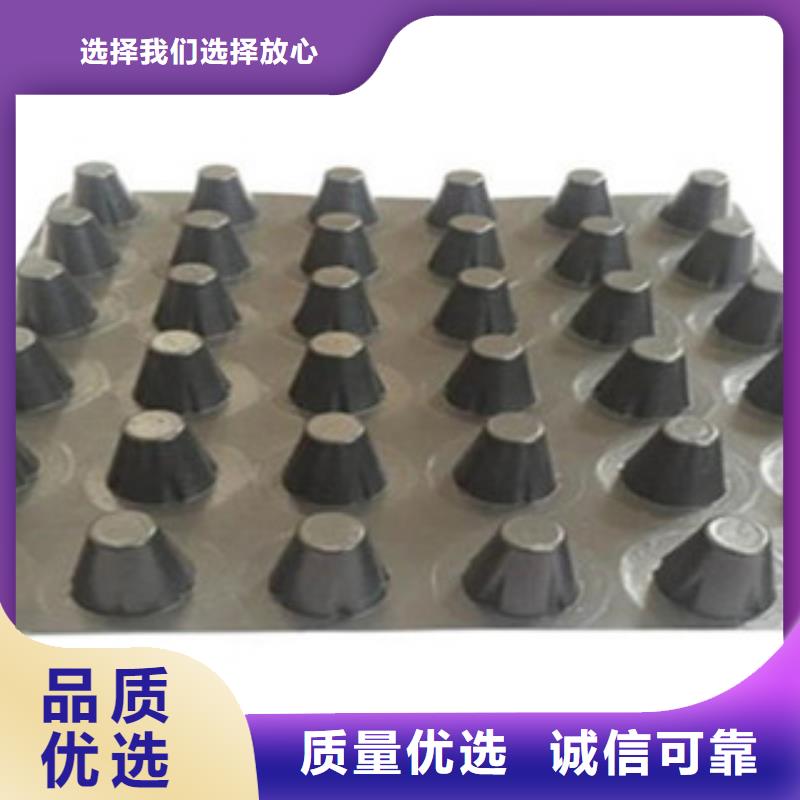 塑料排水板_三維植被網(wǎng)工藝精細(xì)質(zhì)保長(zhǎng)久