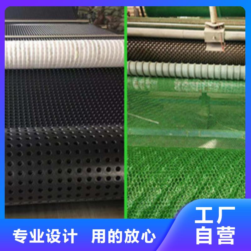 塑料排水板-塑料土工格柵質量無憂