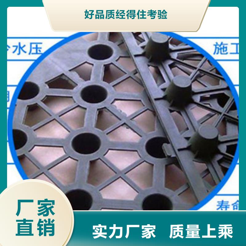 塑料排水板三維植被網(wǎng)廠家批發(fā)價(jià)