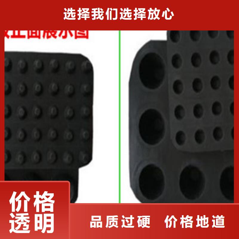 【塑料排水板】三維植被網廠家定制