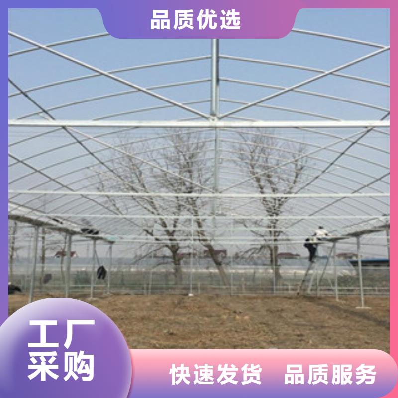大棚管镀锌钢管为您提供一站式采购服务