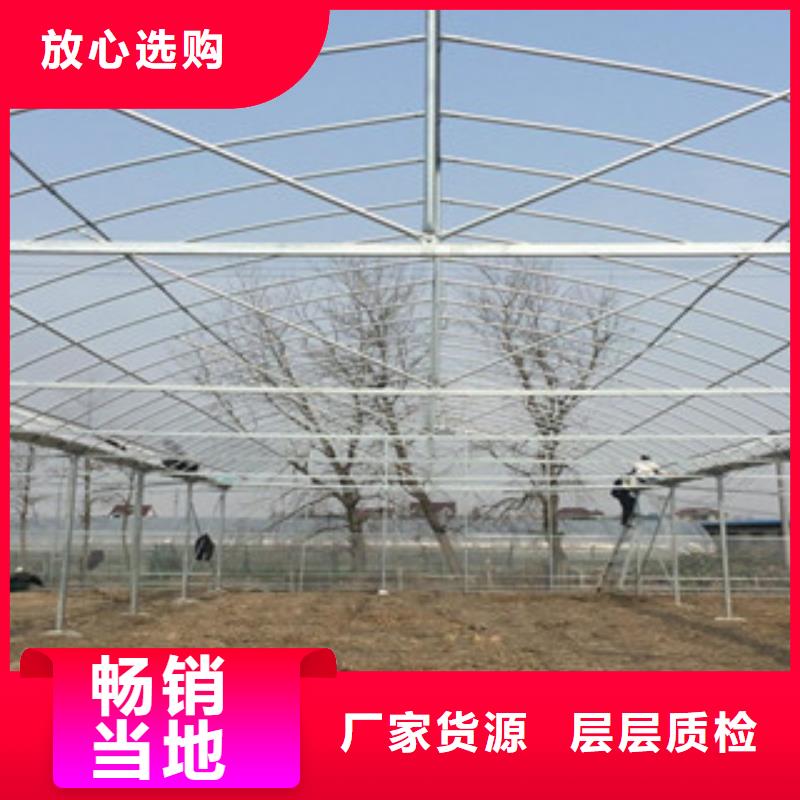 大棚管现货批发