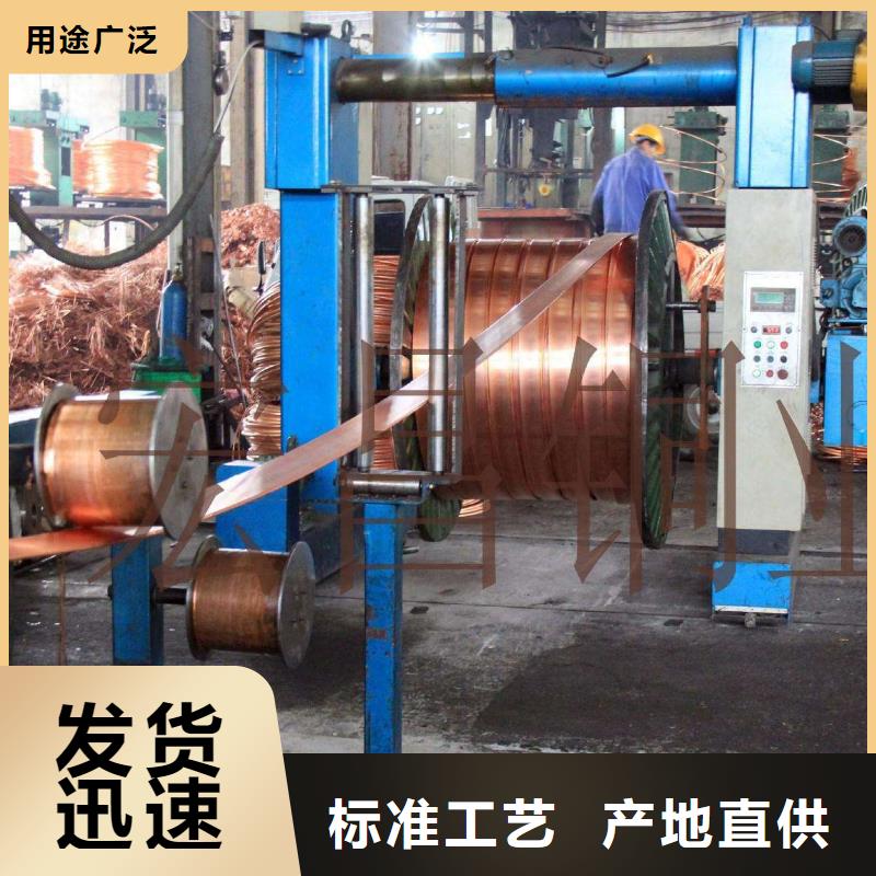 TMY紫銅排100*10一米多少錢