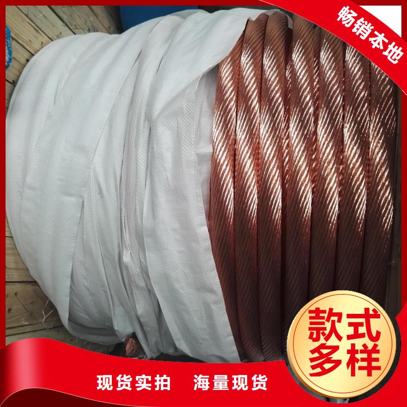 【TJX-250mm2鍍錫銅絞線】變電站新建工程專用