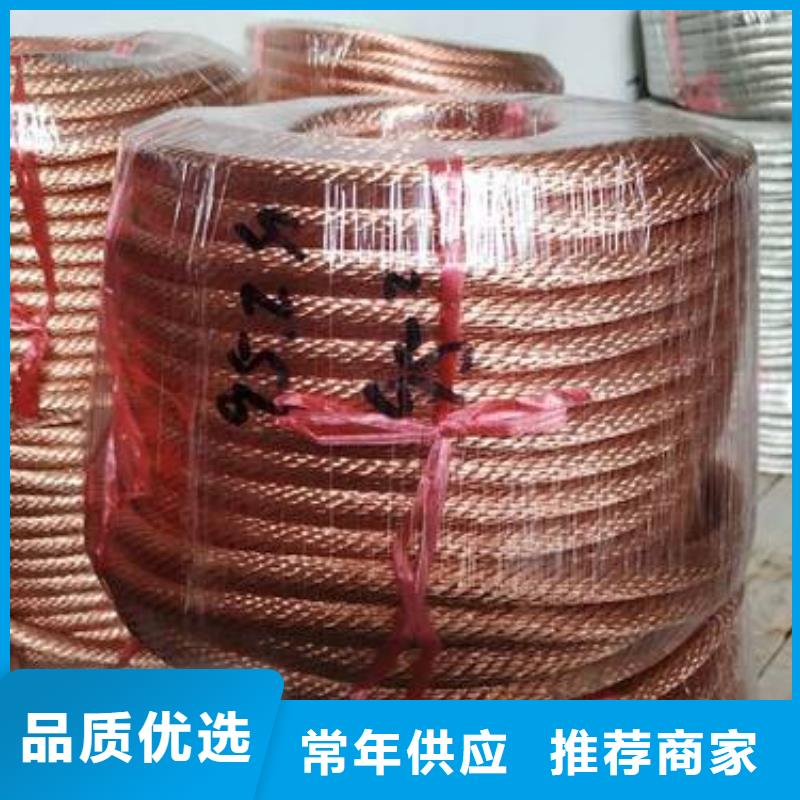 【TJX-250mm2鍍錫銅絞線】南來北往這里價格合適