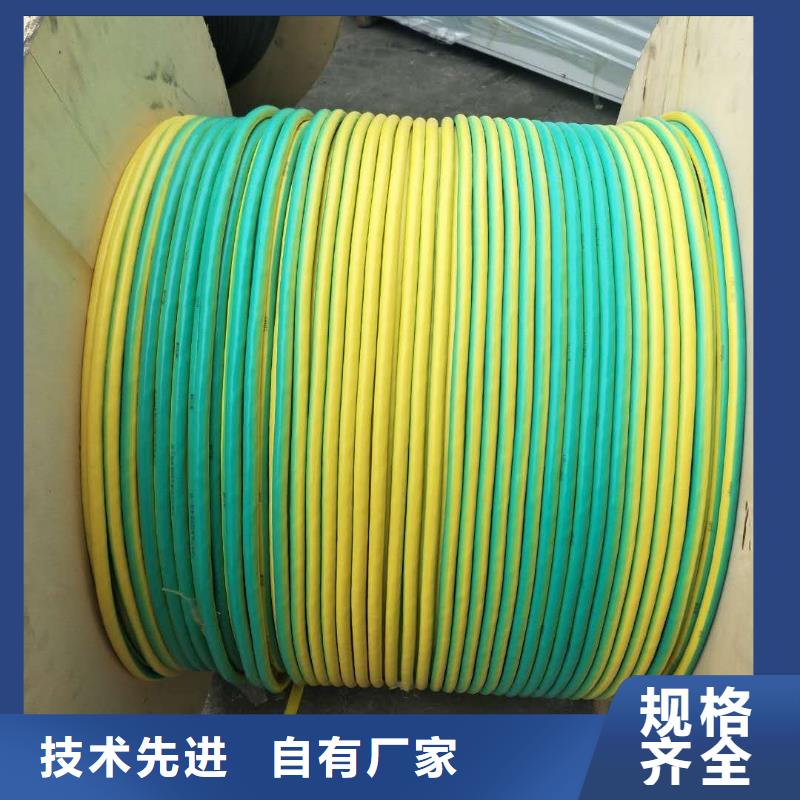 TJ-300mm2銅絞線/鍍錫銅絞線//今日價(jià)格
