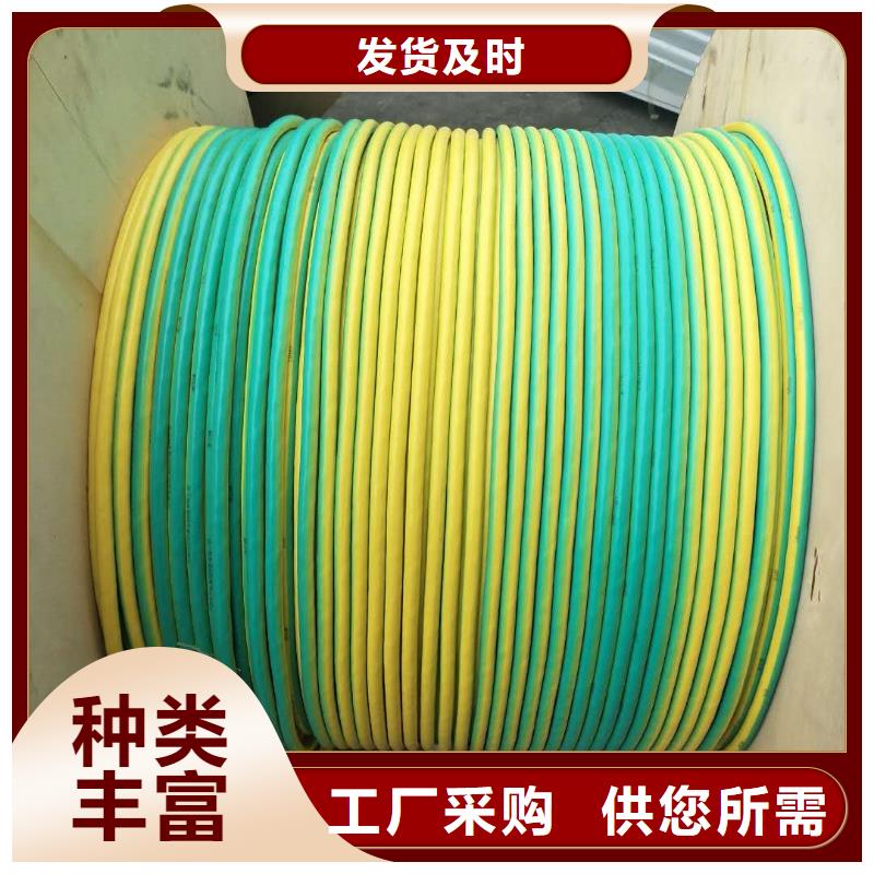【TJX-500mm2鍍錫銅絞線】變電站新建工程專用