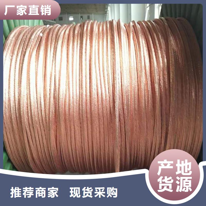 TJ-400平方鍍錫銅絞線貨源【廠家】