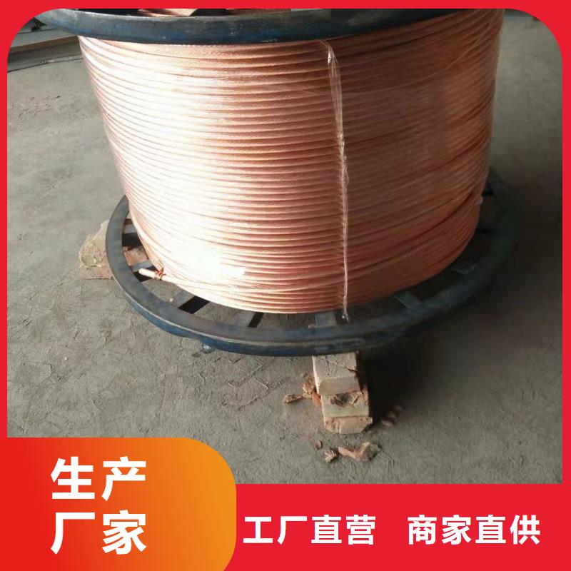 【TJX-95mm2鍍錫銅絞線】變電站接地工程