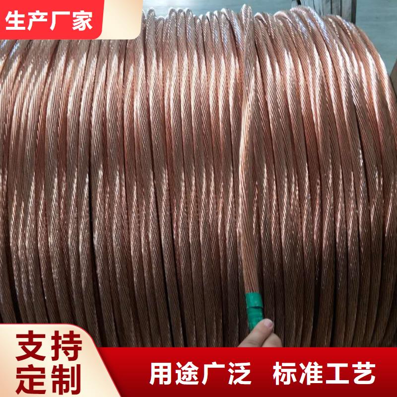 【TJX-95mm2鍍錫銅絞線】變電站接地工程