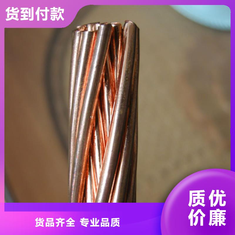 銅絞線-【紫銅排】廠家直發(fā)