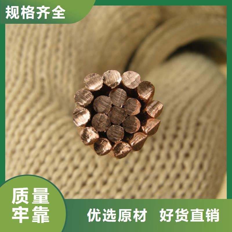 鍍錫銅絞線70㎜常用指南
