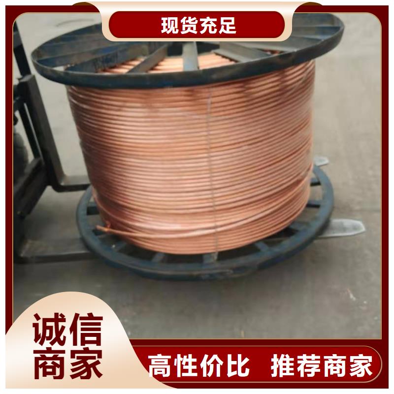 TJ-400平方鍍錫銅絞線%一米多少錢